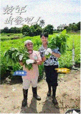 脱口秀综艺周末拆解局在线观看
